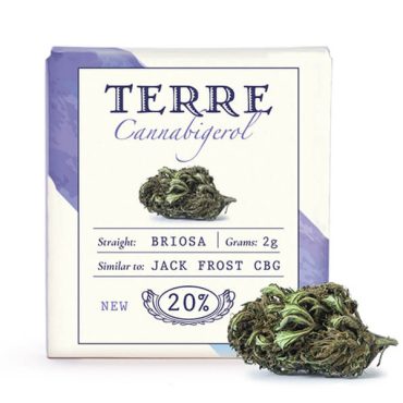Terre Di Cannabis Briosa CBG – 2gr.