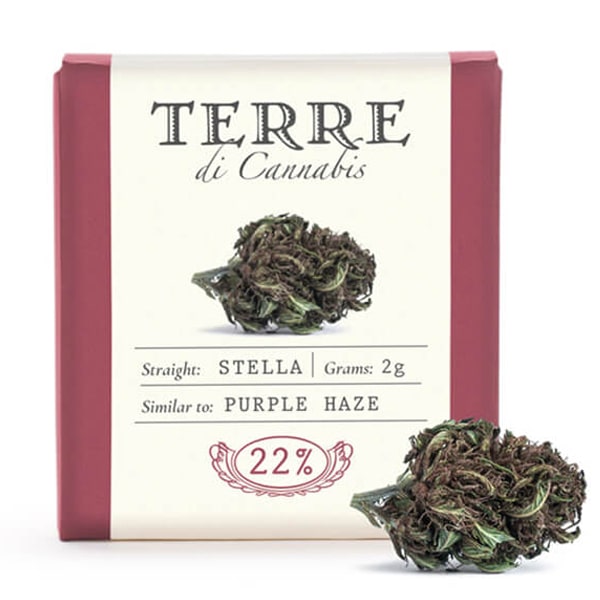 1920-terre-stella-20%-2gr-cbd-flower